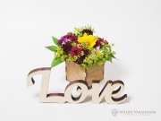  Decoratiune Love S